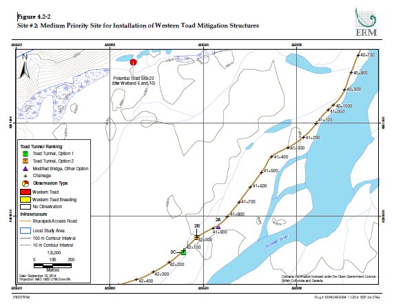 Site #2: Medium Priority Site for Installation of Western Toad Migration Strucutres